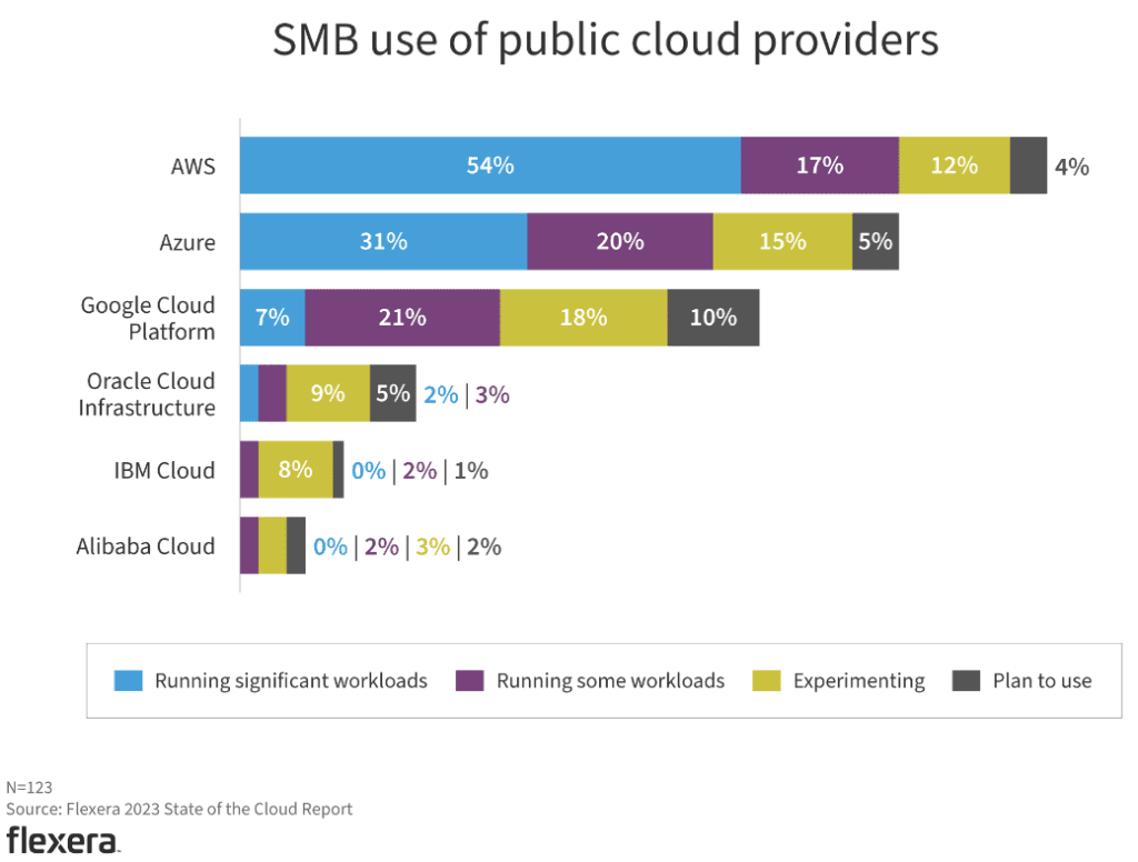 AWS and Azure lead in public cloud providers adoption - Flexera